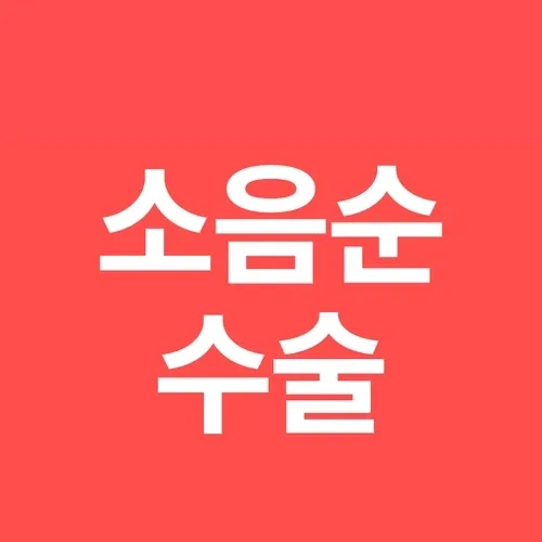 소음순수술 상담